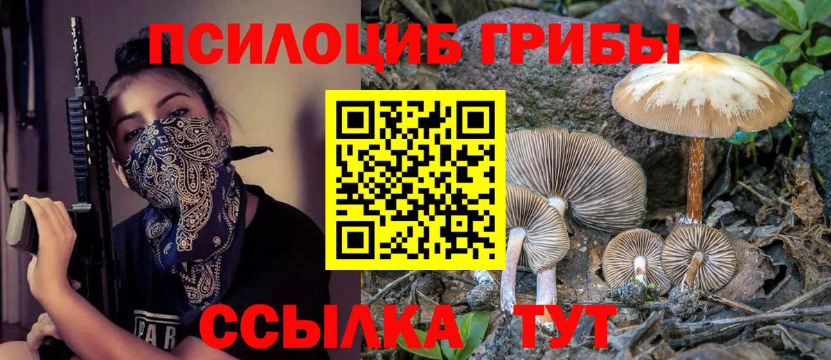 Строитель  Галлюциногенные грибы Psilocybine cubensis  Вход с VPN  Псилоцибиновые грибы Cubensis 